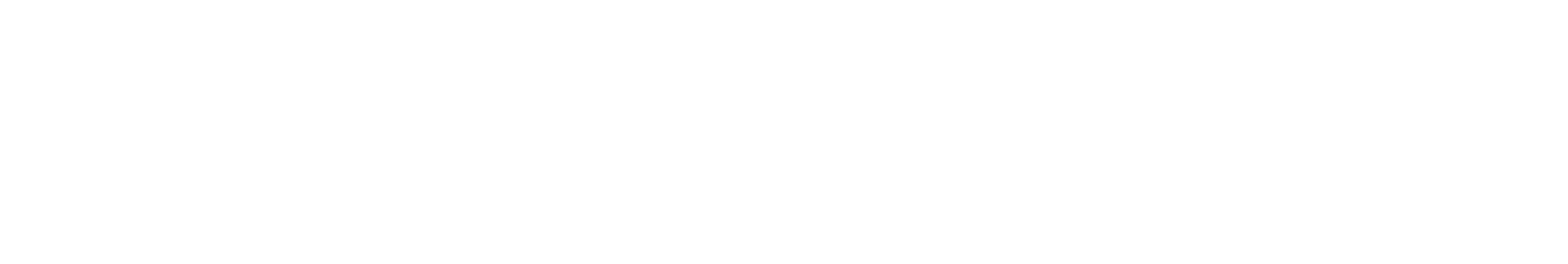 IMMERSIVE NIGHT