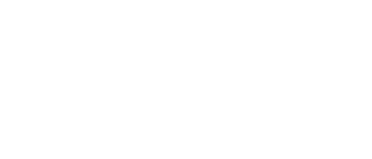 IMMERSIVE NIGHT